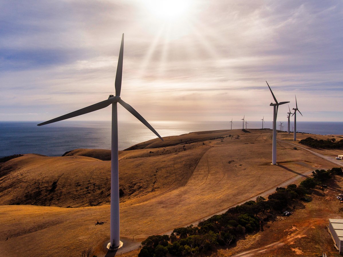 Wind Turbines on a Hill by the Sea